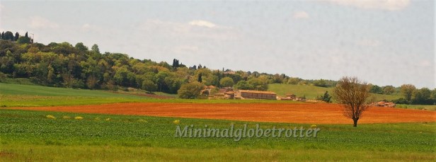 monteriggioni dintorni 3 (2)