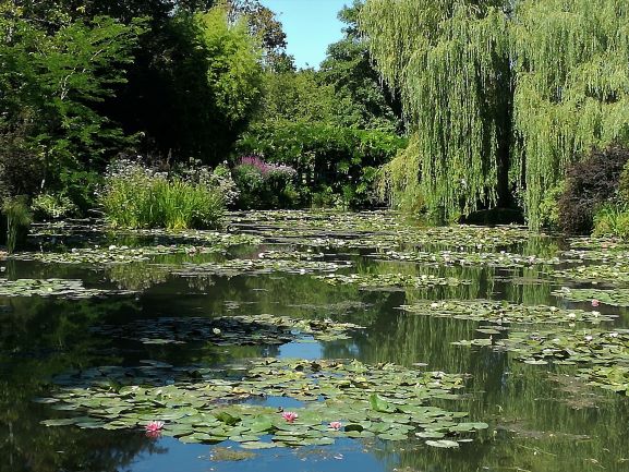 jardin-d'eau-monet-giverny