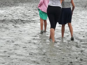 melma-spiaggia-mont-saint-michel