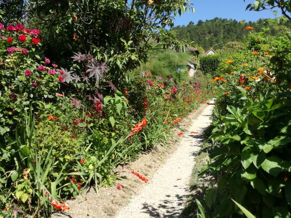 vialetto-fiorito-giardino-monet-giverny