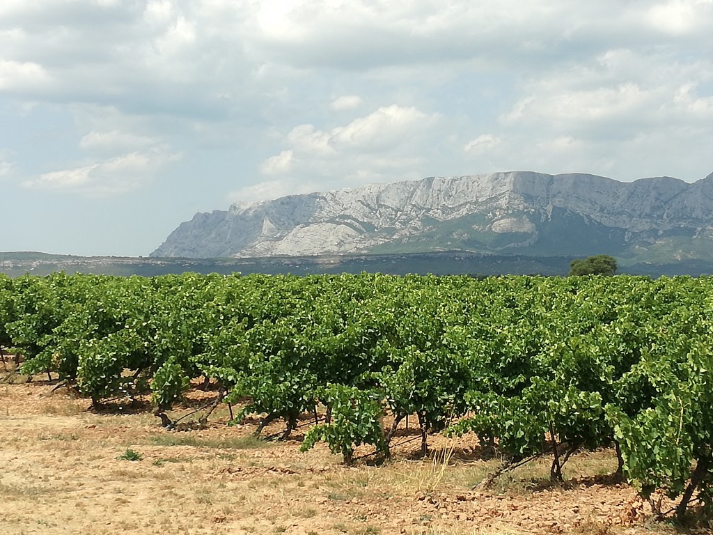 Panoramica con vigne del monte Saint Victoir, Aix en Provence