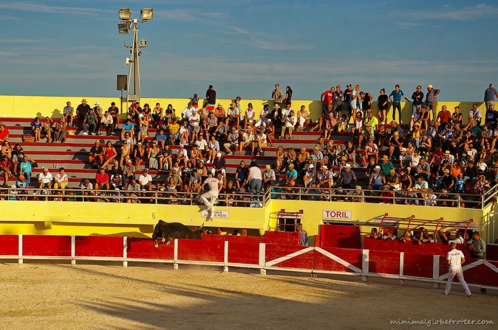 Saintes Maries de la Mer corsa Camarghese coup de barrière