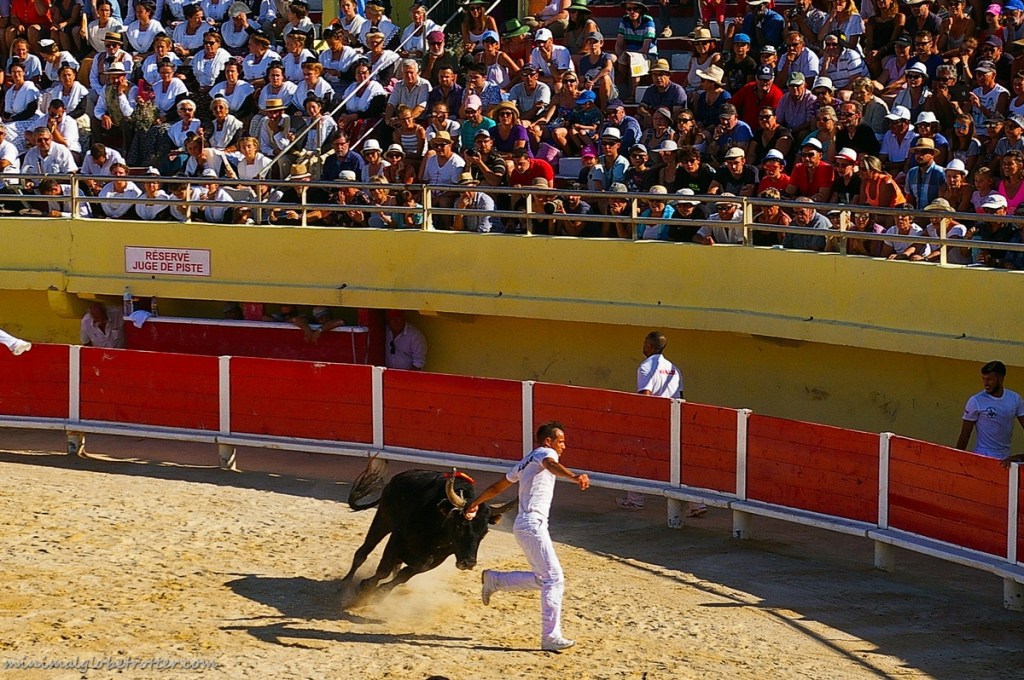 Corsa Camarghense un reseteur tenta di prendere la ficelle