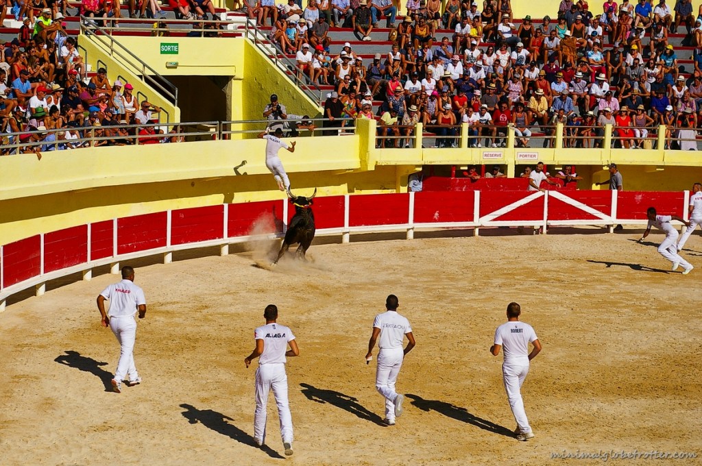 Corsa Camarghese un raseteur salta la barriera