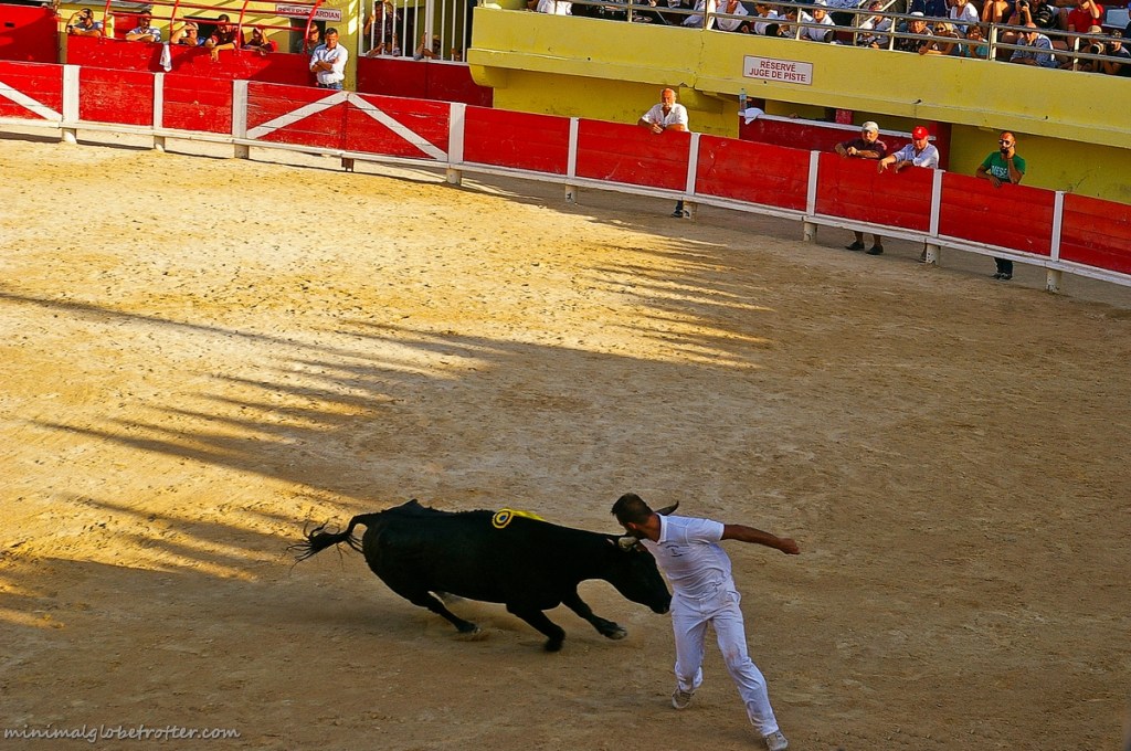 Corsa Camarghense un reseteur tenta di prendere la ficelle