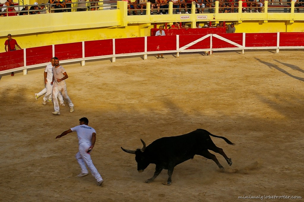 Corsa Camarghese arena di Saintes Maries de la Mer toro e raseteur