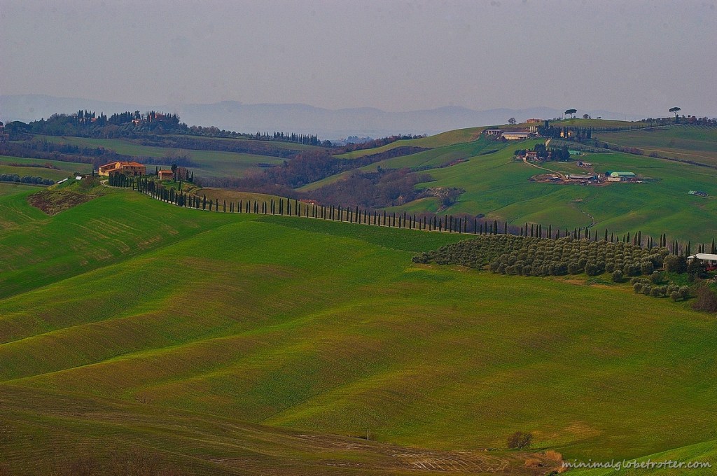 viale di cipressi nelle crete senesi