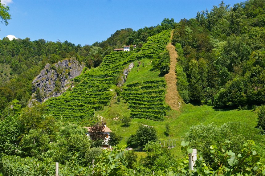 Vigne vertiginose lungo la strada del Prosecco