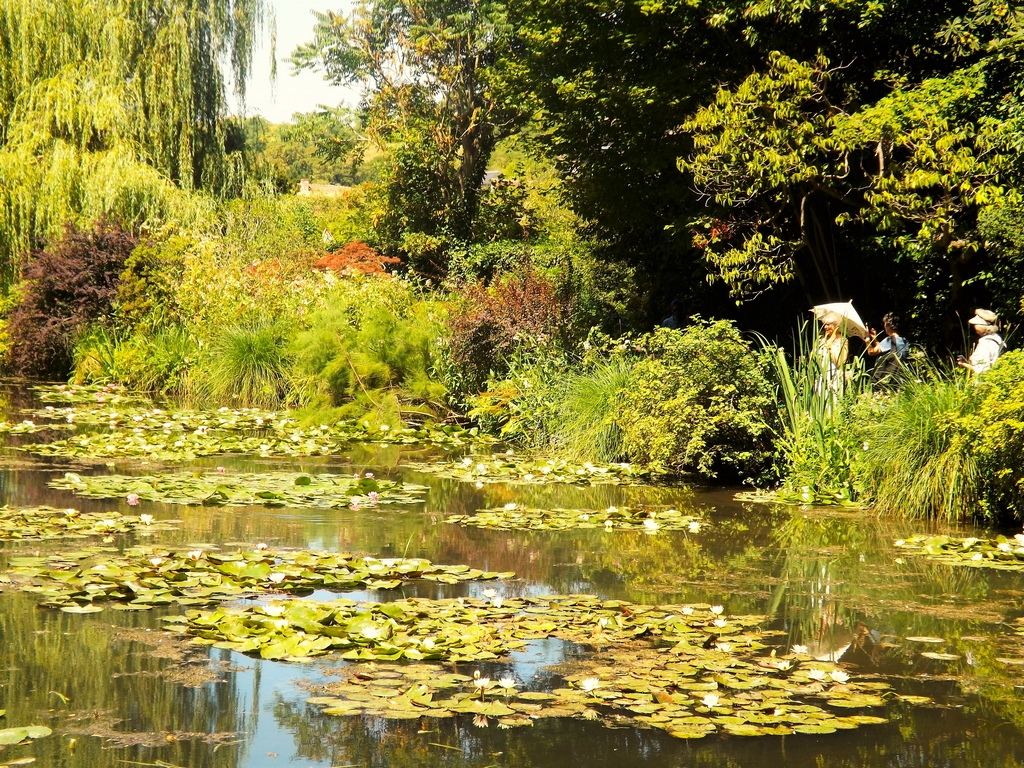 Laghetto nel giardino della casa Monet